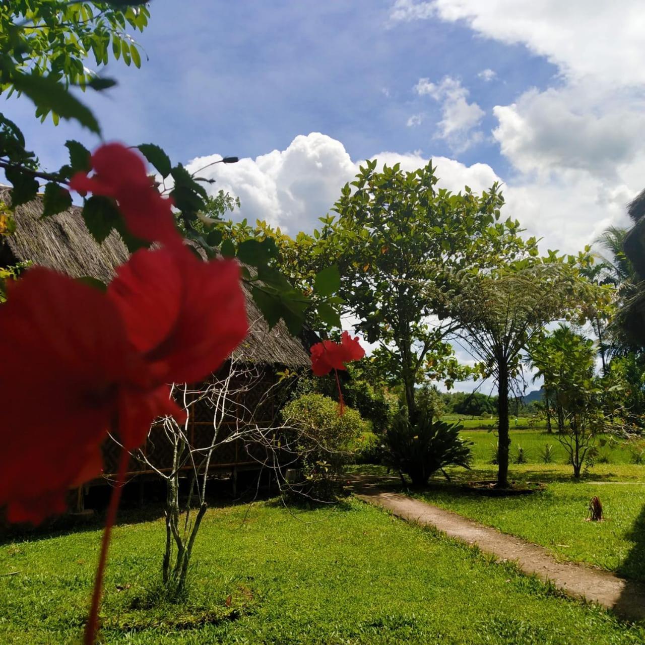 Abdi Homestay Arau Buitenkant foto